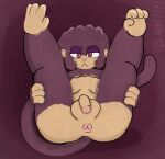 anthro anus balls blank_(blankitty) blankitty breasts genitals gynomorph haplorhine hi_res intersex legs_up mammal monkey nude penis presenting primate solo trans_(lore) trans_woman_(lore)