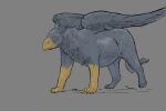  2020 all_fours avian beak belly blue_body blue_feathers blue_wings claws colored feathers feral grey_background gryphon jeri_kleinlowe male mythological_avian mythological_creature mythology nude_feral simple_background solo standing walking wings 