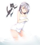  ;o animal bare_shoulders blood blush cat clenched_teeth collarbone glasses highres kuro_(kuronell) nosebleed one_eye_closed open_mouth parted_lips partially_submerged short_hair silver_hair simple_background standing teeth towel wading water white_background wince yellow_eyes 