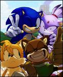  blush canine feline female fox group hedgehog knockabiller male mammal marine_the_raccoon miles_prower one_eye_closed raccoon sega smile sonic_(series) sonic_the_hedgehog wink 