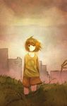  brown_hair chie_(lcddem) collarbone grass highres kareido_(kaleidoscope) lcddem looking_at_viewer shorts smile solo standing wind 