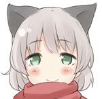  animal_ears bad_id bad_pixiv_id blush cat_ears dust_box green_eyes looking_at_viewer sanya_v_litvyak scarf short_hair silver_hair smile solo strike_witches world_witches_series 