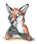  avoid_posting canine conditional_dnp fox mammal rubik&#039;s_cube rubik's_cube solo tani_da_real 