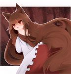  animal_ears arano_oki bare_shoulders blush breasts brown_hair dress imaizumi_kagerou large_breasts long_hair looking_back open_mouth red_eyes solo tail touhou very_long_hair wolf_ears wolf_tail 