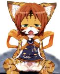  anthro anus black_nose blush clothing cub cum cum_on_body dagasi drooling feline female fur green_eyes hair half-closed_eyes looking_at_viewer mammal nipples open_mouth orange_fur pussy red_hair saliva sitting solo spread_legs spreading tiger tongue tongue_out white_fur young 