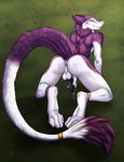  anthro anus balls body_markings butt dripping ear_piercing ethan_(teckly) fluffy_tail fur industrial_piercing kaylii long_tail looking_at_viewer looking_back male markings masturbation nude piercing precum purple_fur sergal simple_background solo stripes teckly white_fur 