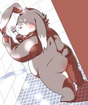  back blush butt chubby cleaning kemono lagomorph long_ears male mammal pixiv rabbit shower sigenoya solo water 