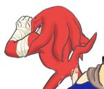  anal_penetration anthro balls blue_hair blush butt clothing cum cum_in_ass cum_inside echidna gay gloves hair hedgehog knuckles_the_echidna looking_back male mammal penetration penis purple_eyes sega sex sonic_(series) sonic_boom sonic_the_hedgehog video_games zehn 