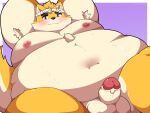 2025 4:3 anthro armpit_hair balls belly big_belly blush body_hair canid canine canis domestic_dog erection genitals hi_res kemono kusosensei male mammal moobs musashi_(tamacolle) navel nipples overweight overweight_male penis simple_background solo tamacolle