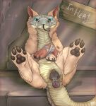 absurd_res anal anal_penetration animal_genitalia animal_vulva anus bdsm big_pussy blue_eyes bodily_fluids bondage bound brown_body brown_scales burn_scar canid canine canine_genitalia canine_vulva canis cheek_tuft claws coyote cracked_ground cracked_wall crossed_paws dripping_vulva dripping_wet facial_tuft fallout feet female feral feral_focus firefangdragon foot_focus forked_tongue free_use fur genital_fluids genitals graffiti grey_body grey_scales hi_res hybrid in_heat legs_tied light light_beam looking_at_viewer loreal_pit lying mammal microsoft muzzle_(object) muzzled neck_tuft night_stalker_(fallout) object_in_ass on_back pawpads paws penetration pit_organ pit_viper pointy_ears presenting presenting_anus presenting_vulva questionable_consent rattlesnake reptile scales scalie scar sex_toy sex_toy_in_ass sex_toy_insertion shadow sign snake snout solo spread_legs spreading stone_floor stone_wall sunbeam sunlight tail tail_anus tan_body tan_fur tan_scales tape tape_bondage taped_legs taped_mouth toe_claws tongue tongue_out tuft vaginal_fluids ventral_scales vibrator vibrator_in_ass viper vulva wall_(structure) wood wood_sign