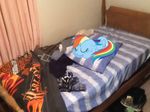  bed blanket comforter equine friendship_is_magic hanger harley_davidson horse mammal my_little_pony pillow pony rainbow_dash_(mlp) rubkis_cube shoe sleeping tagme v-cube 