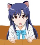  :o animal_ears blue_hair bow box brown_eyes cardboard_box cat_ears for_adoption highres idolmaster idolmaster_(classic) in_box in_container kisaragi_chihaya long_hair open_mouth solo takumi_(rozen_garten) 