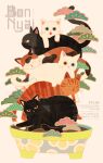 animal animal_focus black_cat bonsai calico_(pattern) calico_cat cat commentary_request heterochromia highres minoru_(pulse20) no_humans orange_cat original plant potted_plant white_cat 
