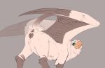 animal_genitalia animal_vulva anus avian beak brown_body brown_feathers butt digitigrade feathered_wings feathers feline_genitalia feline_vulva female feral flamespitter genitals green_eyes grey_background gryphon mythological_avian mythological_creature mythology presenting presenting_anus presenting_hindquarters presenting_vulva quadruped raised_tail scuted_arms scutes simple_background solo tail vulva white_body white_feathers wings