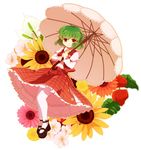  anemone_(flower) ascot bad_id bad_pixiv_id chaba_(hortensia) dandelion flower green_hair kazami_yuuka mary_janes pantyhose parasol plaid plaid_skirt plaid_vest red_eyes shoes short_hair skirt skirt_set solo sunflower touhou umbrella vest 