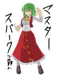  ascot flower green_hair kazami_yuuka kujira_lorant pantyhose red_eyes short_hair simple_background skirt skirt_set slit_pupils solo touhou translated vest white_background 