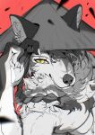 2025 5_fingers anthro asian_conical_hat braided_hair braided_ponytail bust_portrait canid canine canis chiayeeee claws clothing digital_drawing_(artwork) digital_media_(artwork) finger_claws fingers fur furgonomic_hat furgonomic_headwear furgonomics grey_body grey_fur grey_hair hair hat hat_only headgear headgear_only headwear headwear_only hi_res holding_clothing holding_hat holding_headgear holding_headwear holding_object looking_at_viewer male mammal mostly_nude mouth_closed ponytail portrait red_background signature simple_background solo white_body white_fur white_sclera wolf yellow_eyes