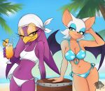 2025 5_fingers absurd_res anthro avian bat beach beak beverage bikini bird blue_bikini_bottom blue_bikini_top blue_eyelids blue_sky breasts cleavage clothed clothing collarbone day drinking_straw duo eyelashes feathers female fingers fur hair hi_res hirundinid holding_beverage holding_object mammal midriff monotone_bikini monotone_bikini_bottom monotone_clothing monotone_swimwear navel oscine passerine purple_body purple_feathers rouge_the_bat sega sky skyversa sonic_riders sonic_the_hedgehog_(series) string_bikini sun swallow_(bird) swimwear tan_body tan_skin two-piece_swimsuit water wave_the_swallow white_bikini_bottom white_bikini_top white_body white_ears white_fur white_hair yellow_beak