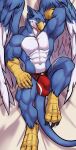  3_toes 5_fingers abs anthro avian beak blue_eyes bulge claws detailed_bulge eyebrows feathered_wings feathers feet fingers genital_outline gryphon hi_res jericko_(germanshepherd69) looking_at_viewer lying male multicolored_body muscular muscular_anthro muscular_male mythological_avian mythological_creature mythology navel on_back penis_outline solaxe_(artist) toes two_tone_body wings 