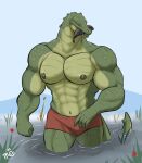 abs alligator alligatorid anthro biceps big_body_small_head clothed clothing countershade_torso countershading crocodilian digital_media_(artwork) fish_in_mouth green_body green_scales grey_eyes hi_res looking_at_viewer male muscular muscular_anthro muscular_arms muscular_male navel nipples non-mammal_navel non-mammal_nipples outside pantsless partially_submerged pecs red_clothing red_underwear reptile scales scalie senimentari signature sky solo submerged_legs swamp topless underwear underwear_only