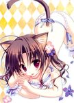  :3 :p absurdres animal_ears argyle argyle_background ass bra brown_hair cat_ears cat_tail highres jewelry lace lace-trimmed_bra lace-trimmed_panties lying necklace on_stomach panties red_eyes ryouka_(suzuya) scan strap_slip tail tongue tongue_out underwear underwear_only white_bra white_panties 