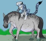 2019 abdominal_bulge animal_genitalia anthro balls belly big_belly black_body black_fur blue_body blue_fur blue_sky body_outline celtic_mythology colored dated day duo european_mythology felid feral feral_pred fur genitals grass grey_body grey_fur hair hooves horseback_riding huge_belly kelpie male male/male male_feral mammal matthias_(tigereye7669) mythological_creature mythological_equine mythology nude_anthro nude_feral nude_male nude_pred outside pandottermon pantherine partially_submerged plant scared sheath signature sitting sky slimy_body standing_in_water sticky swamp tail tiger unwilling_prey vore walking willing_pred