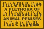  &#12459;&#12452;&#12470;&#12539;&#12486;&#12452;&#12521;&#12540; ???????? animal_genitalia balls disembodied_penis erection male penis penis_everywhere silhouette 