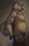  boxer_briefs brown_fur bulge canine chest_tuft chubby fur lay0wn looking_at_viewer male mammal solo standing topless tuft underwear undressing 