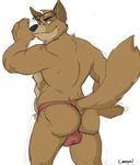  anthro back back_turned balls biceps big_butt brown_fur bulge butt canine canson ear_piercing eyewear fangs fur glasses grin jockstrap looking_at_viewer looking_back male mammal muscles nipples pecs piercing plain_background solo standing thong topless underwear white_background wolf 