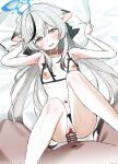  1girl :o absurdres animal_ears bar_censor bikini bikini_bottom_aside black_hair blue_archive blue_halo blush breasts censored clothing_aside collarbone commentary_request cowboy_shot cupless_bikini dress grey_hair halo head_on_pillow hetero highres kokona_(blue_archive) long_hair missionary multicolored_hair navel open_mouth penis pillow pillow_grab pussy sex simple_background small_breasts solo_focus stomach streaked_hair subachi swimsuit thighs tiger_ears vaginal white_background 