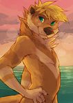  black_nose blonde_hair cherrybox claws fur green_eyes hair hand_on_hip looking_at_viewer male mammal mustelid nude otter outside sea seaside solo tan_fur water 