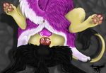  balls big_balls black_fur canine cum cum_in_ass cum_in_pussy cum_inside dog double_penetration feline female feral feral_on_feral fur group group_sex hindpaw interspecies lion lying male mammal nana nucahfox on_back paws penetration penis purple_fur pussy roxxy sex straight sy&#039;ros sy'ros tan_fur threesome wolf 