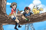  couple eevee haruka_(pokemon) nature nintendo pikachu pokemon pokemon_(anime) satoshi_(pokemon) tree 