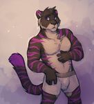  bulge cherrybox feline male mammal purple_eyes solo tiger topless underwear 
