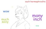  anthro breasts canine cleavage clothed clothing corruption_of_champions doge english_text female fox hair mammal meme parody solo stowaway_(artist) text urta 