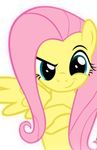  2014 blue_eyes equine fluttershy_(mlp) friendship_is_magic fur hair looking_at_viewer low_res mammal my_little_pony pegasus pink_hair plain_background raised_eyebrow smirk solo spread_wings white_background wings yellow_fur 