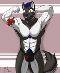  &lt;3 abs aj_the_canaan_fox almost_nude anthro armpits balls biceps black_nose blue_eyes blue_hair bow bulge canine dog facial_hair flexing fur grin hair looking_at_viewer male mammal mohawk muscles pecs penis pose pubes smile solo speedo standing swimsuit thong 