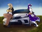 4:3 anthro car digital_media_(artwork) duo dwenzorse equid equine female hi_res honda horse hybrid hyena male mammal merayeen outside ragiechan vehicle zebra