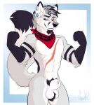 2019 abs animal_genitalia anthro biceps black_markings black_nose canid canine cheek_tuft colored digital_drawing_(artwork) digital_media_(artwork) ear_piercing eye_scar facial_scar facial_tuft fox fur genitals grey_body grey_fur hair kerchief kerchief_only kwik_(artist) male mammal markings mostly_nude muscular navel neckerchief neckerchief_only neckwear pecs piercing pose red_eyes scar shaded sheath short_hair simple_background smile solo tail tuft white_body white_fur