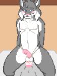 3:4 anal anal_penetration animated anthro balls bed blue_eyes blush bodily_fluids canada_lynx digital_media_(artwork) duo echo_(game) echo_(series) echo_project erection felid feline fur furniture genitals glans greensodafennec grey_body grey_fur hair low_res lynx male male/male mammal nipples nude penetration penile penile_penetration penis penis_in_ass pixel_(artwork) pixel_animation sex simple_background text tj_hess