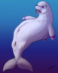  cetacean chubby dolphin female feral mammal marine purple_eyes pussy solo teats underwater water zevex 