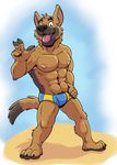  abs anthro beach biceps black_nose brown_body brown_fur bulge canine claws dog fangs fur german_shepherd griz_urso looking_at_viewer male mammal muscles nipples open_mouth outside pecs pose pubes seaside sky solo speedo standing swimsuit teeth toe_claws tongue tongue_out topless 