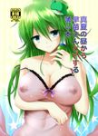  7ban bad_id bad_pixiv_id breasts covered_nipples frog_hair_ornament hair_ornament hair_tubes highres kochiya_sanae large_breasts lingerie long_hair nipples off_shoulder see-through smile solo touhou underwear 