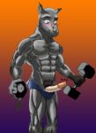  anthro exercise horn horny_(disambiguation) invalid_tag male mammal muscular nipples penis razialdrakken rhinoceros solo weights workout 