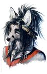  black_hair bone canine feather feather_in_hair fox fur grey_fox grey_fur hair mammal necklace skull solo tatchit tribal 