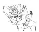  anthro arms_behind_head balls biceps big_penis canine erection feline fox fur furryrevolution gay lion male mammal mane muscles pecs penis plain_background sitting smile spread_legs spreading vein white_background 