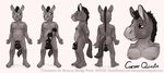  anthro anus balls big_penis black_penis blush chubby donkey equine erection flaccid green_eyes half-erect horsecock looking_away male mammal model_sheet mohawk open_mouth penis smile smudge_proof solo 