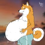2025 ambiguous_gender anthro beach belly big_belly black_eyes blue_bottomwear blue_clothing blue_shorts bottomwear canid canine clothing english_text flat_colors hand_on_belly hi_res looking_at_viewer mammal navel orange_arms orange_body orange_ears orange_tail overweight rumbling_stomach shorts solo tail text watermark white_belly yauhasart