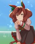  1girl animal_ears ao_(jiyou) black_dress blush bow bowtie brown_eyes brown_hair commentary_request diagonal-striped_bow dress ear_bow ear_covers ear_ribbon green_bow green_bowtie highres horse_ears horse_girl horse_tail juliet_sleeves leaning_forward long_sleeves medium_hair multicolored_hair nice_nature_(poinsettia_ribbon)_(umamusume) nice_nature_(umamusume) open_mouth pinafore_dress puffy_sleeves shirt sleeveless sleeveless_dress solo streaked_hair striped_bow striped_bowtie striped_clothes sweat tail twintails umamusume 