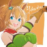  1girl absurdres animal_ears armband bandana bandeau bare_shoulders blue_eyes blush breasts brown_gloves brown_hair character_name commentary_request gloves green_armband green_bandeau hair_ornament highres horse_ears horse_girl large_breasts long_hair looking_at_viewer open_mouth panch4989new ponytail red_bandana smile solo star_(symbol) star_hair_ornament taiki_shuttle_(umamusume) taiki_shuttle_(wild_frontier)_(umamusume) teeth umamusume upper_teeth_only 